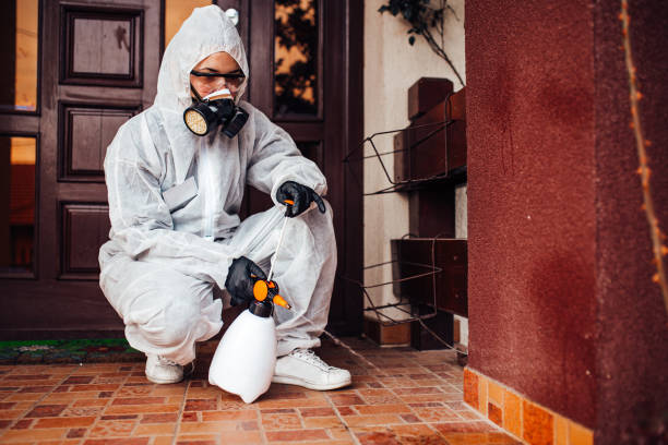 Attic and Crawl Space Rodent Treatment in Bolinas